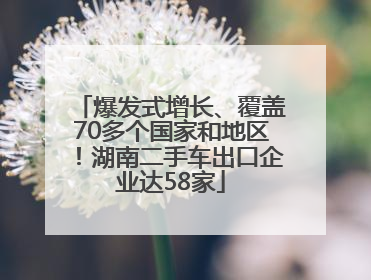 爆发式增长、覆盖70多个国家和地区！湖南二手车出口企业达58家