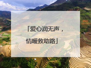 爱心润无声，情暖救助路