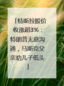 特斯拉股价收涨超3%：特朗普无意沟通，马斯克父亲劝儿子低头