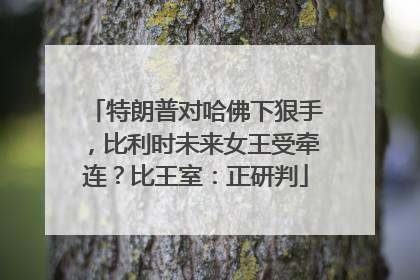 特朗普对哈佛下狠手，比利时未来女王受牵连？比王室：正研判