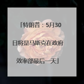 特朗普：5月30日将是马斯克在政府效率部最后一天