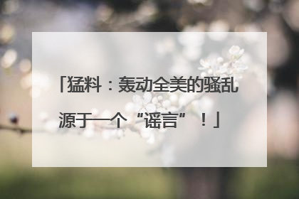 猛料：轰动全美的骚乱源于一个“谣言”！