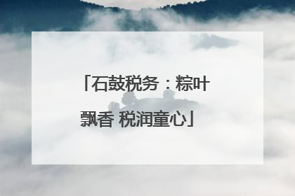 石鼓税务：粽叶飘香 税润童心