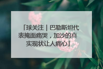 球关注｜巴勒斯坦代表掩面痛哭，加沙的真实现状让人痛心