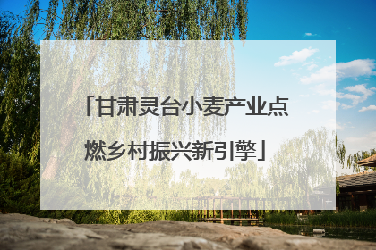 甘肃灵台小麦产业点燃乡村振兴新引擎