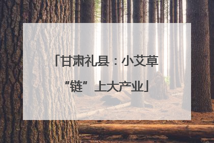 甘肃礼县：小艾草“链”上大产业