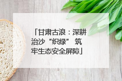 甘肃古浪：深耕治沙“织绿” 筑牢生态安全屏障
