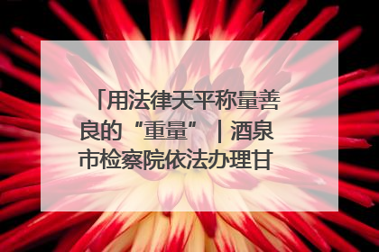 用法律天平称量善良的“重量”｜酒泉市检察院依法办理甘肃首例社区矫正对象见义勇为减刑案