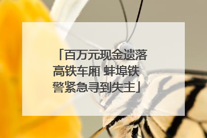 百万元现金遗落高铁车厢 蚌埠铁警紧急寻到失主