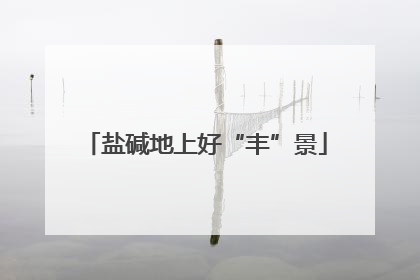 盐碱地上好“丰”景