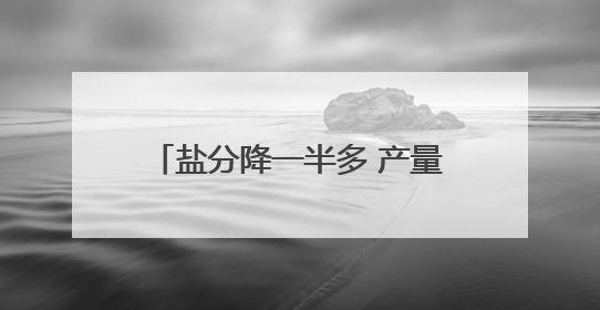 盐分降一半多 产量涨25% 看盐碱地如何变身“丰收田”
