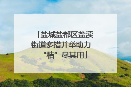 盐城盐都区盐渎街道多措并举助力“秸”尽其用