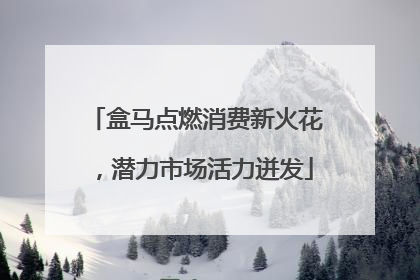 盒马点燃消费新火花，潜力市场活力迸发