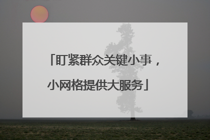 盯紧群众关键小事，小网格提供大服务