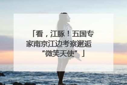 看，江豚！五国专家南京江边考察邂逅“微笑天使”