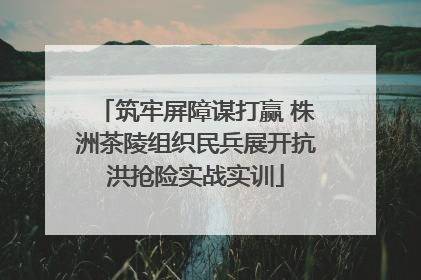 筑牢屏障谋打赢 株洲茶陵组织民兵展开抗洪抢险实战实训