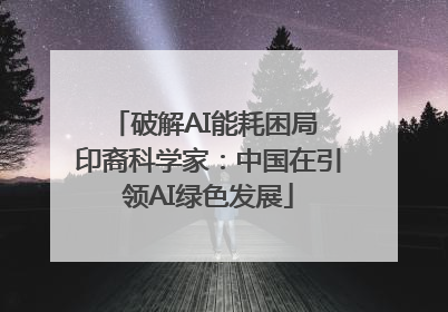 破解AI能耗困局 印裔科学家：中国在引领AI绿色发展