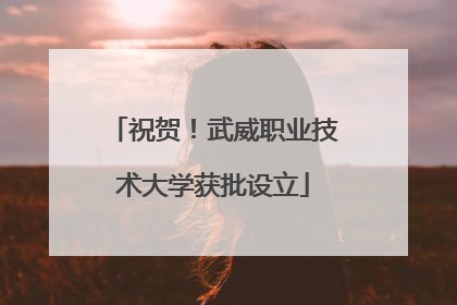 祝贺！武威职业技术大学获批设立