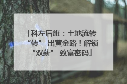 科左后旗：土地流转 “转” 出黄金路！解锁 “双薪” 致富密码