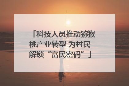 科技人员推动猕猴桃产业转型 为村民解锁“富民密码”
