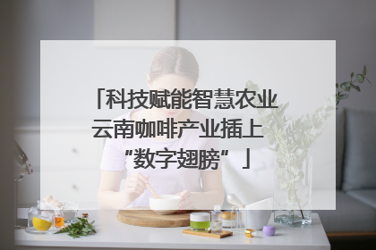 科技赋能智慧农业 云南咖啡产业插上“数字翅膀”