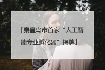 秦皇岛市首家“人工智能专业孵化器”揭牌