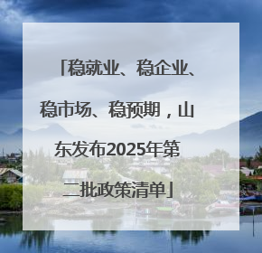 稳就业、稳企业、稳市场、稳预期，山东发布2025年第二批政策清单