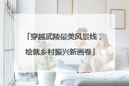 穿越武陵最美风景线，绘就乡村振兴新画卷