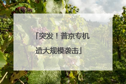 突发！普京专机遭大规模袭击