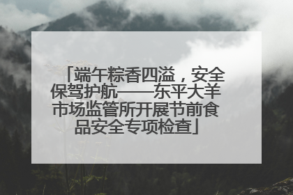 端午粽香四溢，安全保驾护航——东平大羊市场监管所开展节前食品安全专项检查