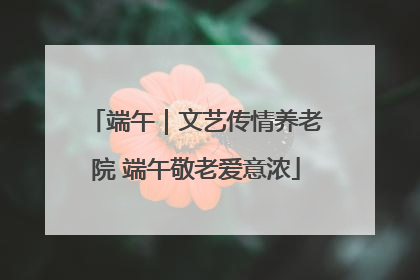 端午｜文艺传情养老院 端午敬老爱意浓