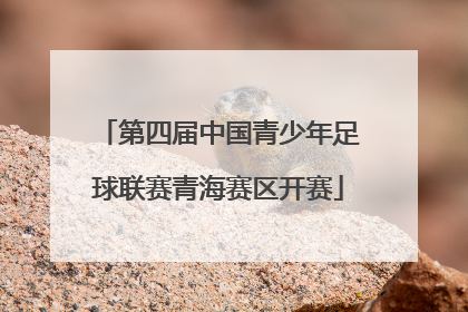 第四届中国青少年足球联赛青海赛区开赛