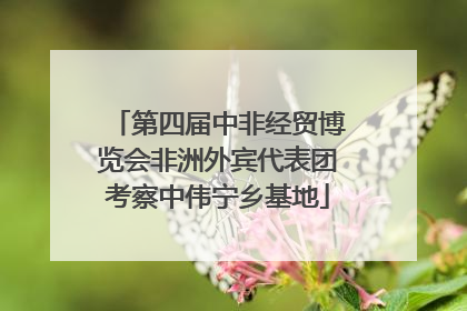 第四届中非经贸博览会非洲外宾代表团考察中伟宁乡基地