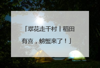 翠花走千村丨稻田有喜，螃蟹来了！