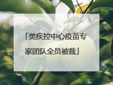 美疾控中心疫苗专家团队全员被裁