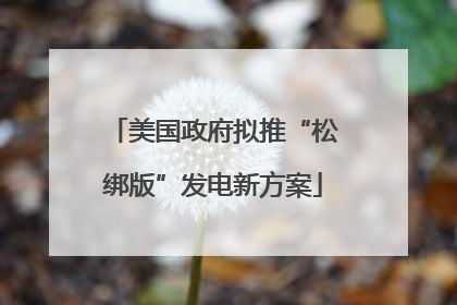 美国政府拟推“松绑版”发电新方案