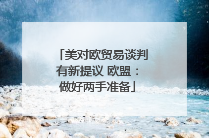 美对欧贸易谈判有新提议 欧盟：做好两手准备