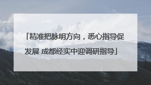 精准把脉明方向，悉心指导促发展 成都经实中迎调研指导