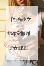 红光小学把课堂搬到了麦田里