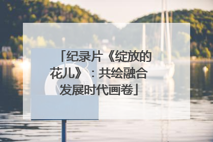 纪录片《绽放的花儿》：共绘融合发展时代画卷
