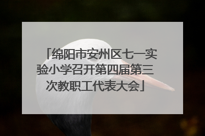 绵阳市安州区七一实验小学召开第四届第三次教职工代表大会