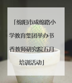 绵阳市成绵路小学教育集团举办书香教师研究院五月培训活动