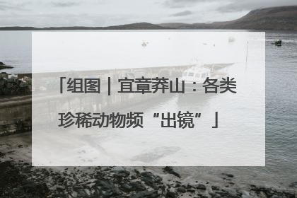 组图｜宜章莽山：各类珍稀动物频“出镜”