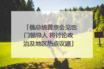 俄总统普京会见也门领导人 将讨论政治及地区热点议题