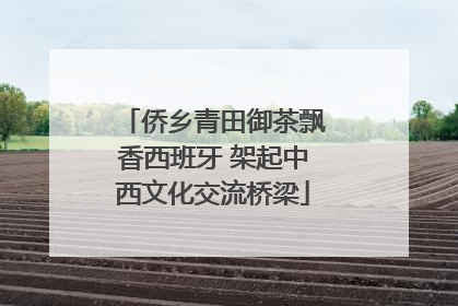 侨乡青田御茶飘香西班牙 架起中西文化交流桥梁