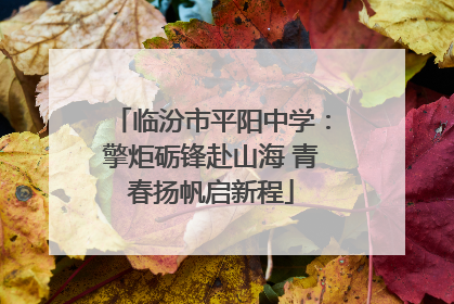 临汾市平阳中学：擎炬砺锋赴山海 青春扬帆启新程