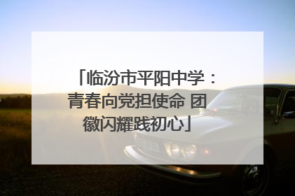 临汾市平阳中学：青春向党担使命 团徽闪耀践初心