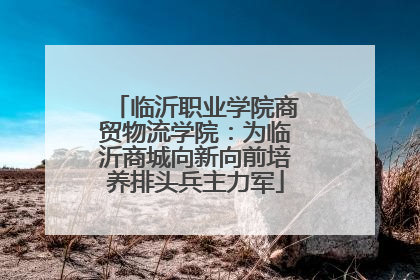 临沂职业学院商贸物流学院：为临沂商城向新向前培养排头兵主力军