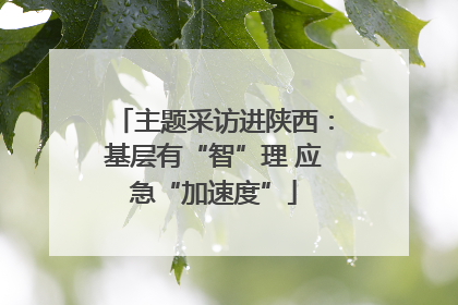 主题采访进陕西：基层有“智”理 应急“加速度”