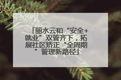 丽水云和“安全+就业”双管齐下，拓展社区矫正“全周期”管理新路径